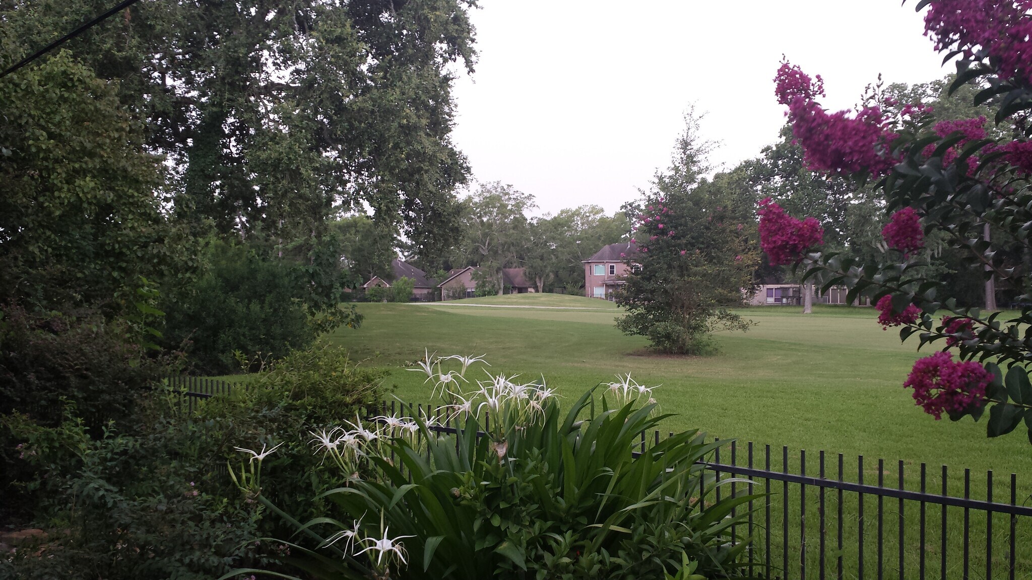 Serene beauty all around - 20347 Atascocita Shores Dr