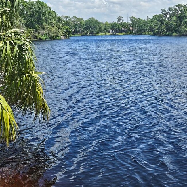 Building Photo - 8110 Villa Grande Ct