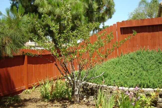 Building Photo - Spacious single-level home located on a quiet corner lot in a well-established Oceanside neighbor...