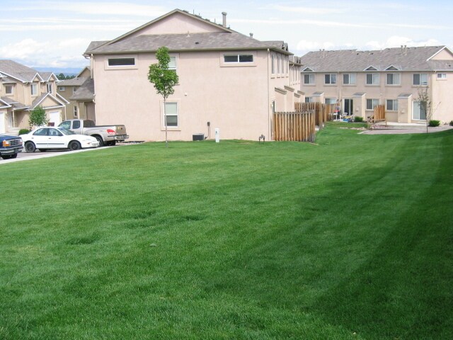 Huge grassy rear yard - 5665 Appalachian Vw
