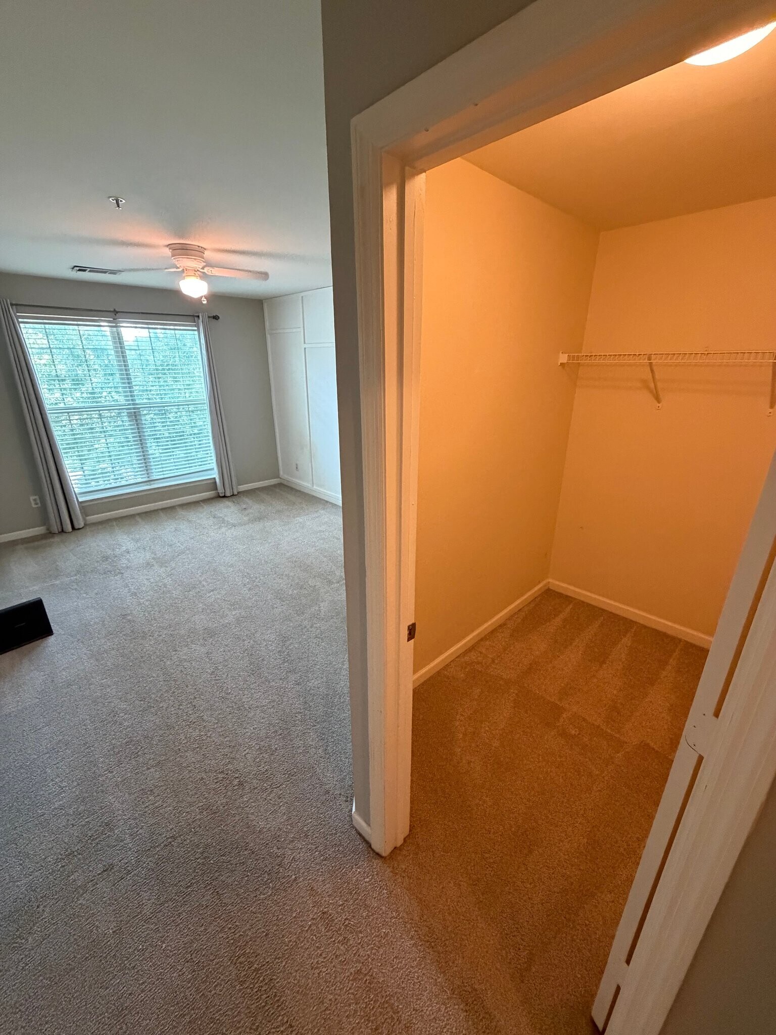 Building Photo - 700 Daniel Ellis Dr