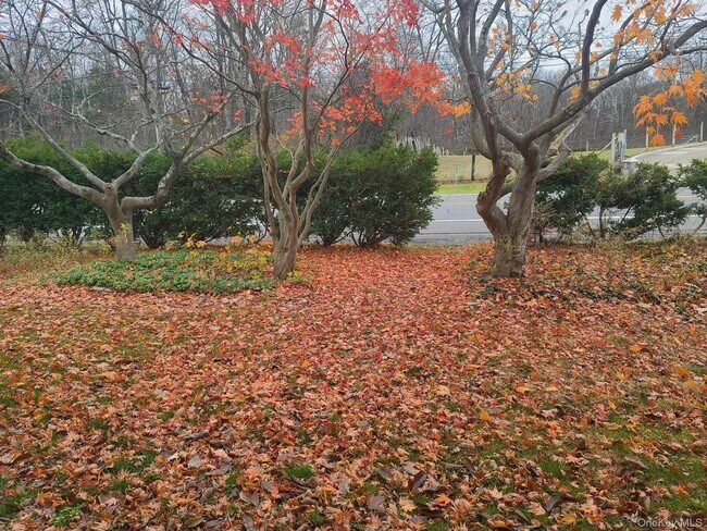 Building Photo - 1547 US-9