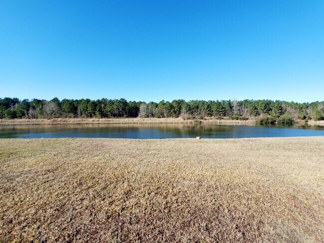 Building Photo - St. Johns Ridge - Long Term Rental in Conway, SC
