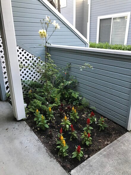 Building Photo - 826 Boardwalk Pl