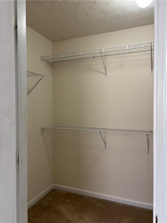 Building Photo - 303 Barberry Pl