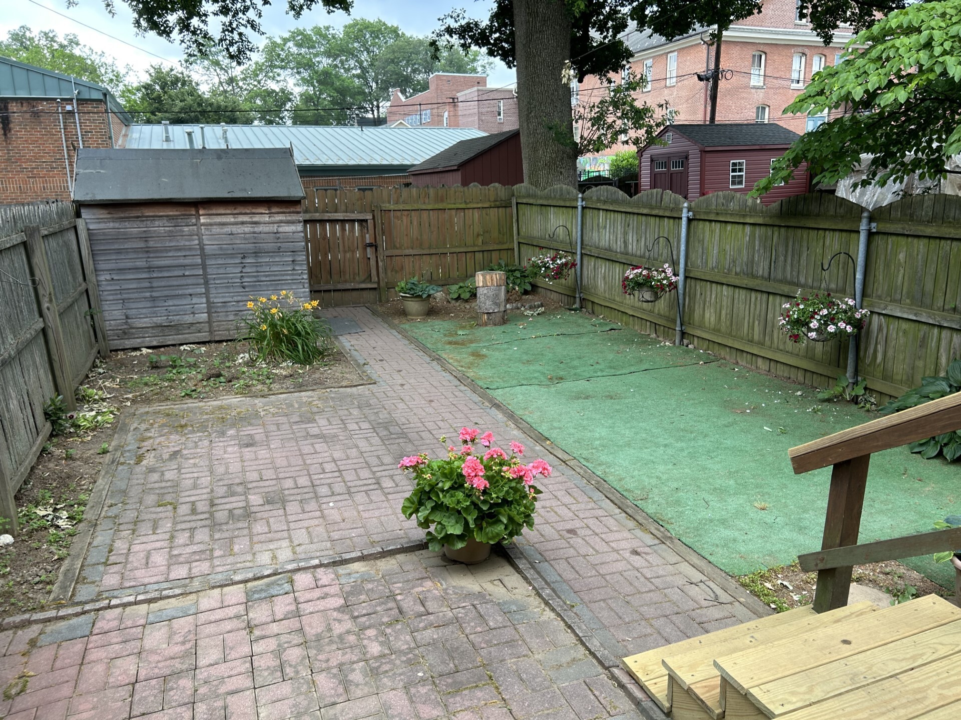 Back yard leading to 4 car parking - 327 N Orange St
