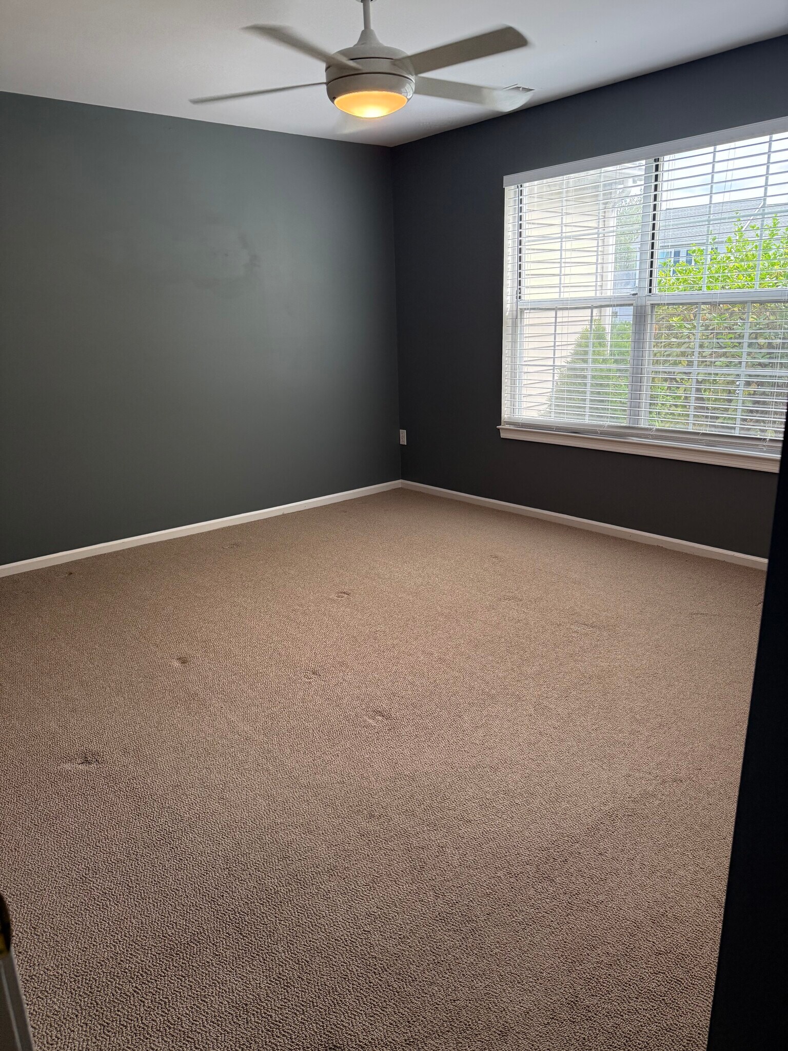 Building Photo - 1607 Briarwood Ln