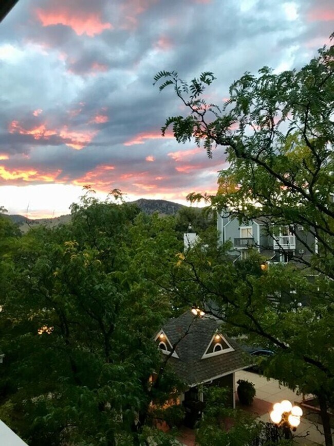 Building Photo - Pearl Street 1BR | Walkable, Remodeled, Covered Parking