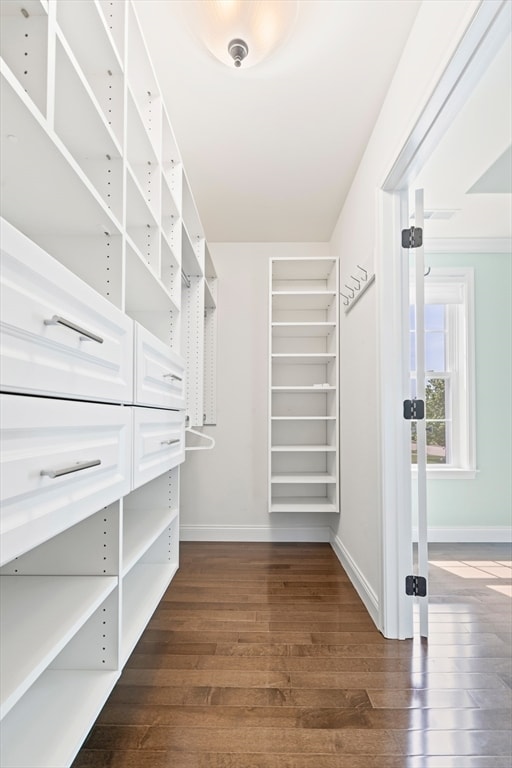 Building Photo - 46 Hound Pack Cir