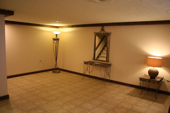 Basement - View 1 - 1269 Bonnie Ln