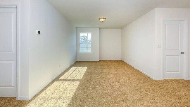 Building Photo - Spacious Newer Construction In Candler