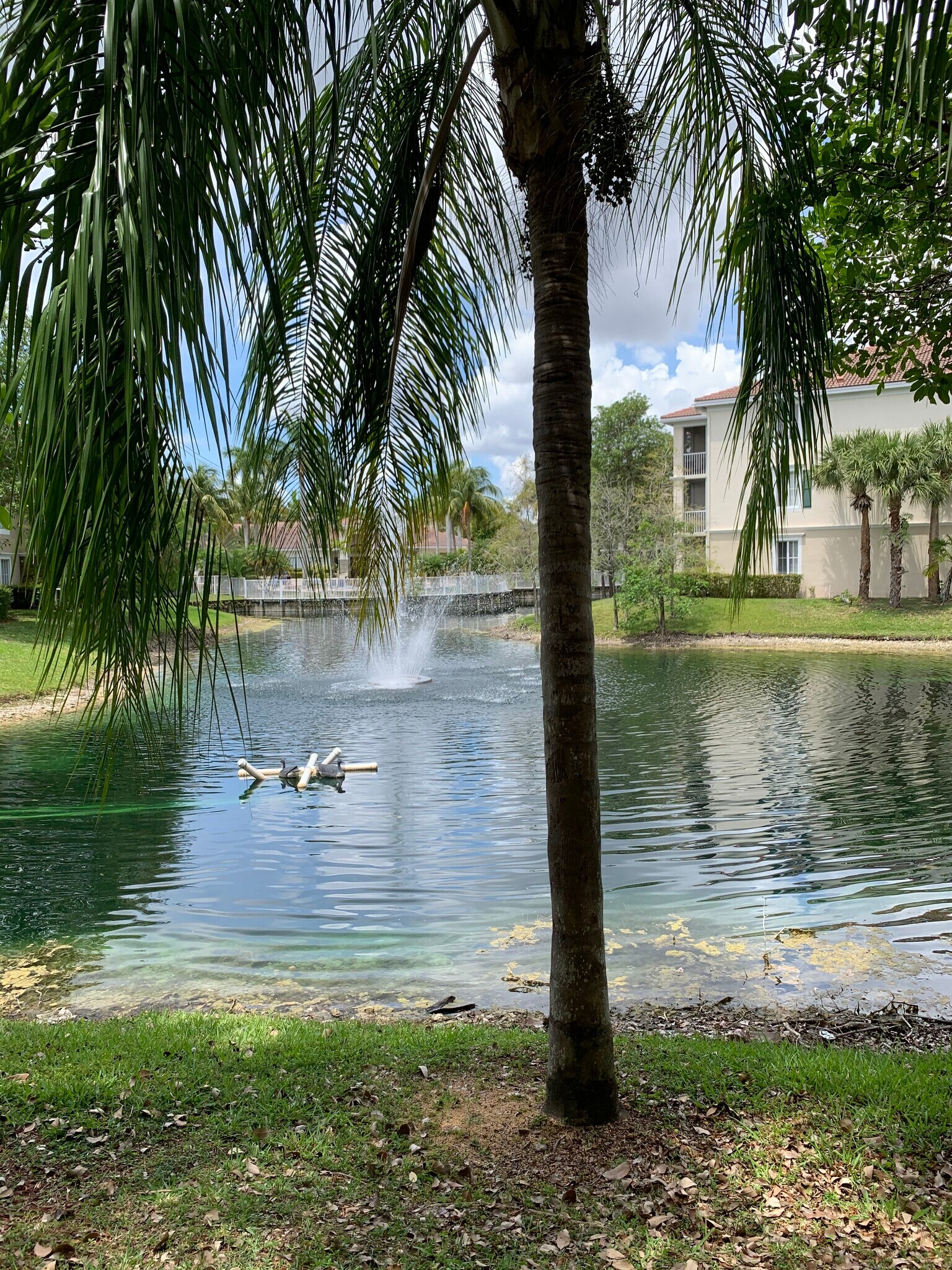 lake view - 11655 W Atlantic Blvd
