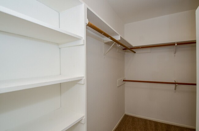 Building Photo - 8319 Bird Run Dr