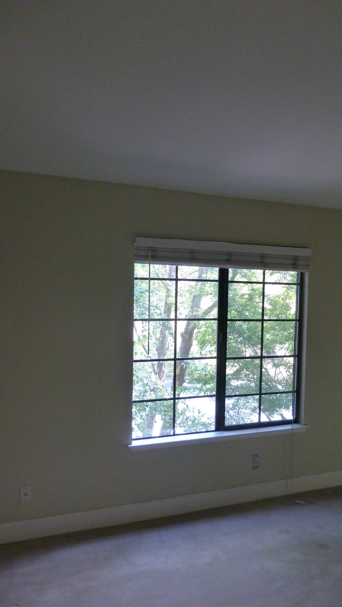 Building Photo - 206 Canyon Woods Way