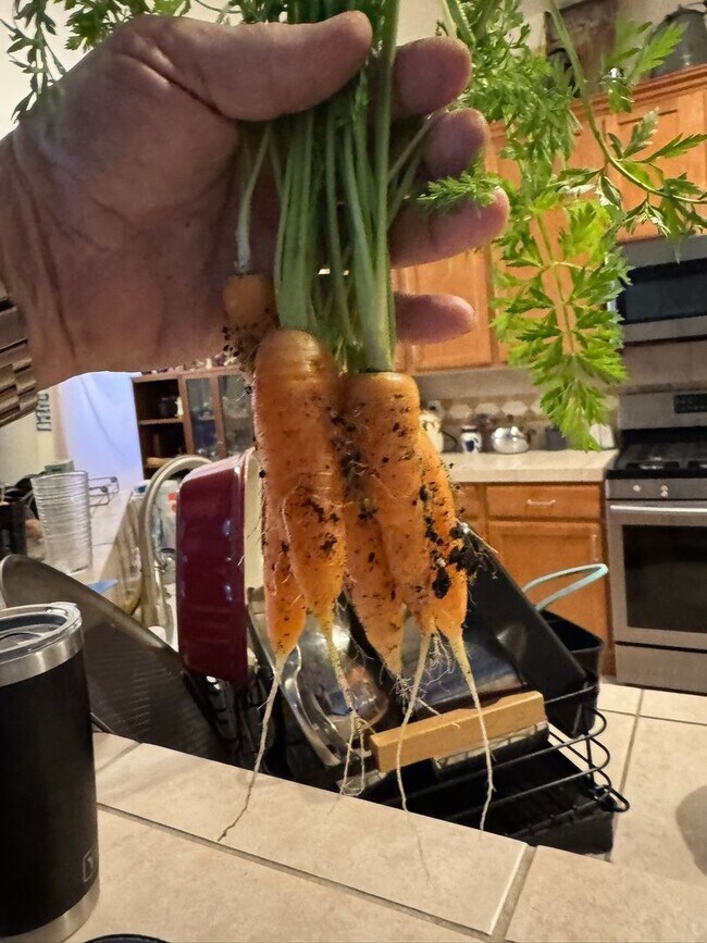 Building Photo - 2834