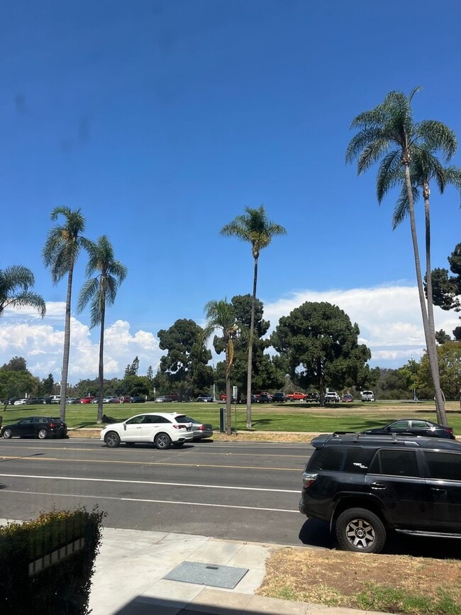 Building Photo - Spacious Studio with Balboa Park Views