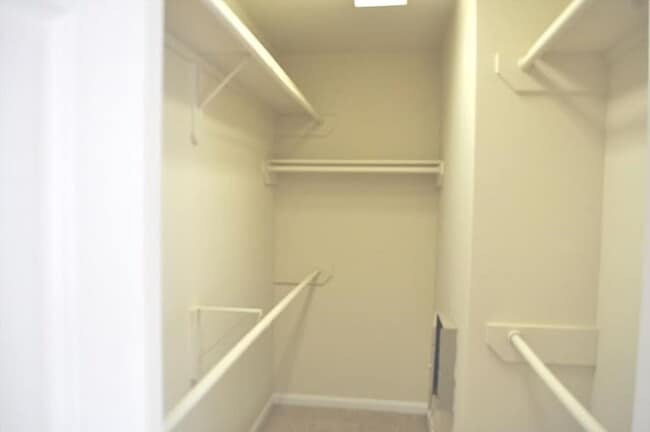 Building Photo - 4911 Amorgas Isle Dr