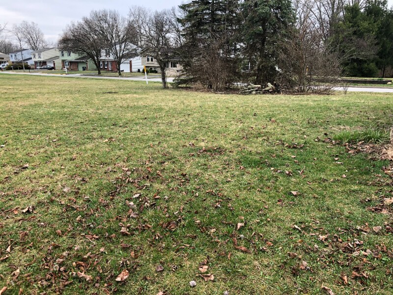 Building Photo - 8677 Canyon Cove Rd