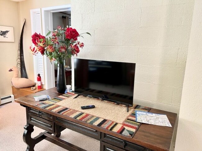 Building Photo - Downtown Furnished One Bed Includes Utilities