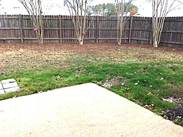 Building Photo - 137 Wildberry Ln