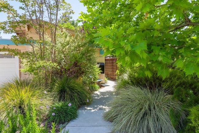 Building Photo - 4 Bed / 2 Bath Welcoming Midtown Palo Alto...