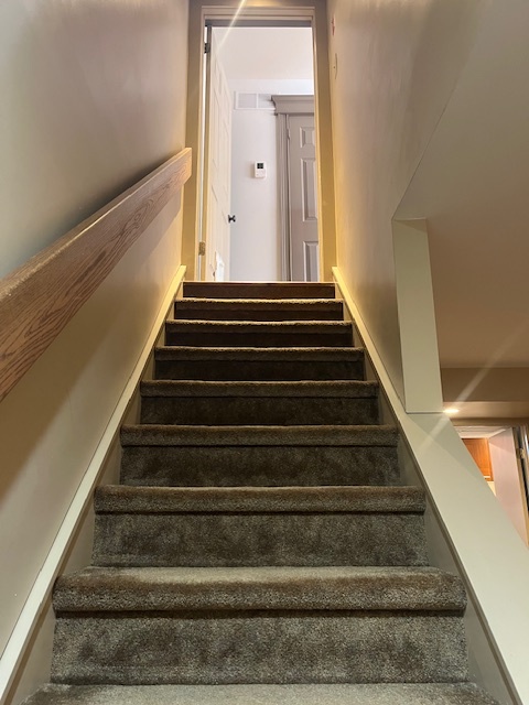 Stairs to basement - 5534 Rinker Cir