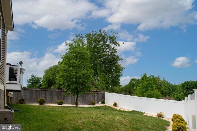 Building Photo - 547 Apricot St
