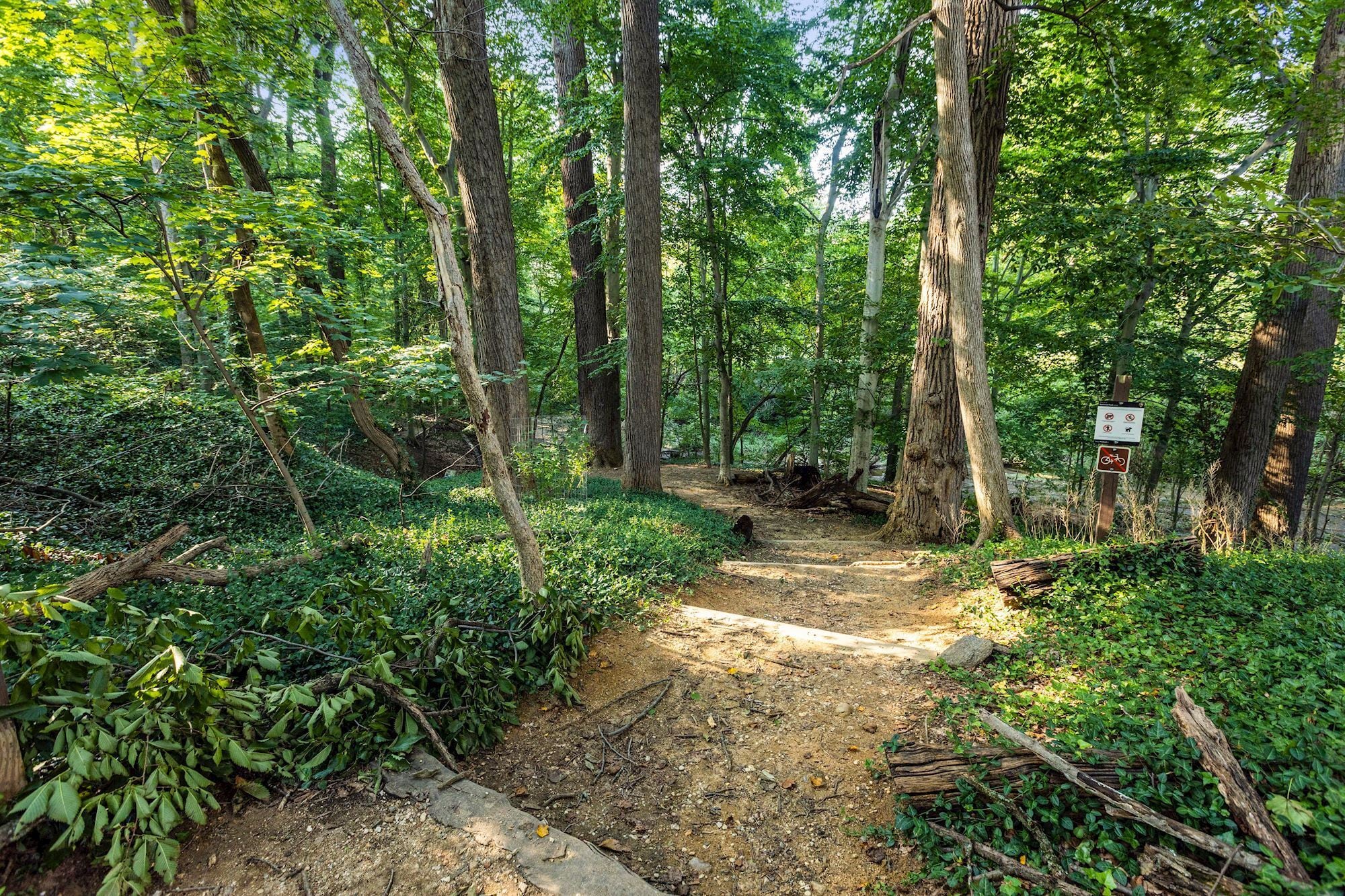 Great trails - 3616 Connecticut Ave NW