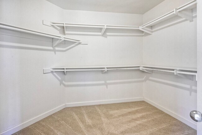 Building Photo - 1198 Sunbright Dr