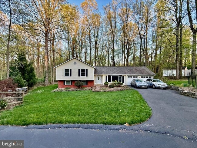 Building Photo - 12220 Tall Pines Ct