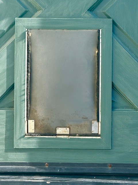 Dog Door to Rear Yard - 625 30th St