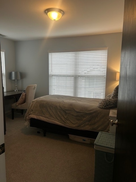 Building Photo - 3021 Serenity Ln