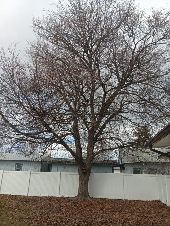 Building Photo - 436 7th Ave W