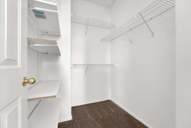 Building Photo - 3329 Autumn Veil St