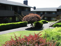 Private courtyard. - The Colony Senior Living