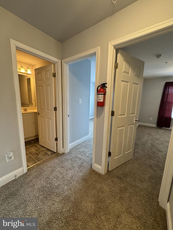 Building Photo - 116 Black Duck Ct