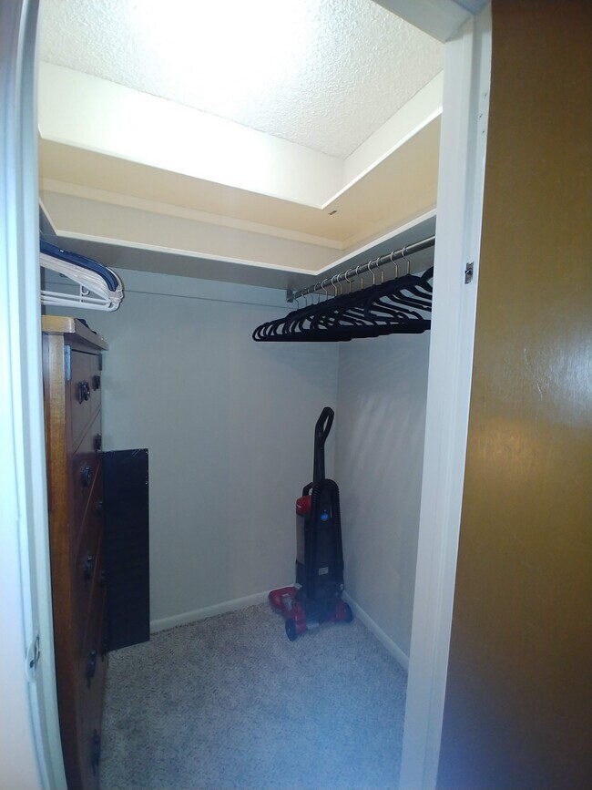 Building Photo - 14027 Rocky Pine Woods St