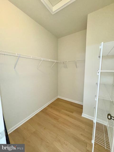 Building Photo - 142 Bamboo Shoot Ln