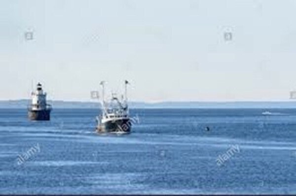 Building Photo - 15 Clara St