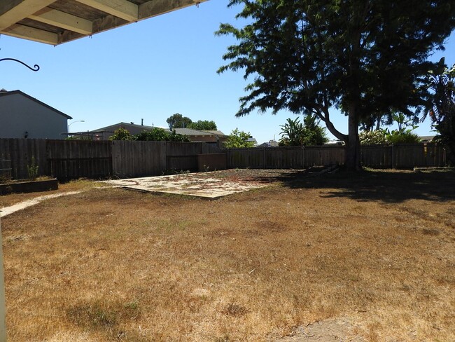 Building Photo - West Clairemont Home with Huge Yard!