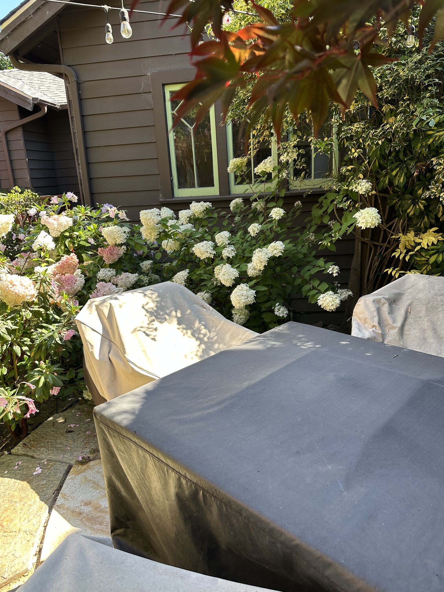 Picnic area 1 with table fire pit - 2738 Garber St