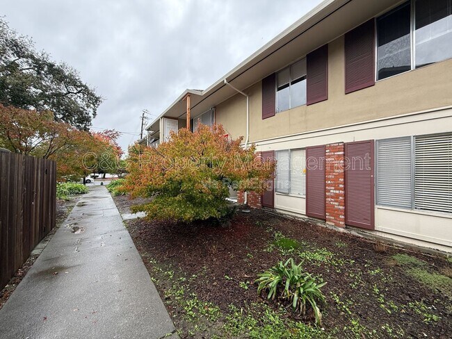 Primary Photo - 300 Stony Point Rd