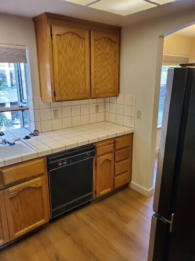 Dishwasher and cabinetry - 2040 Goldenrod Ln