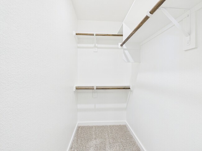 Building Photo - 1906 Viva Rd