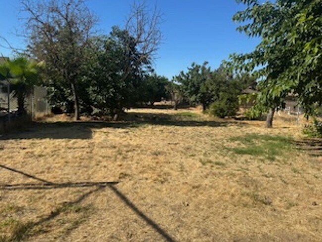 Building Photo - NEW NEW NEW! 3 BEDROOM 1 BATH IN KINGSBURG