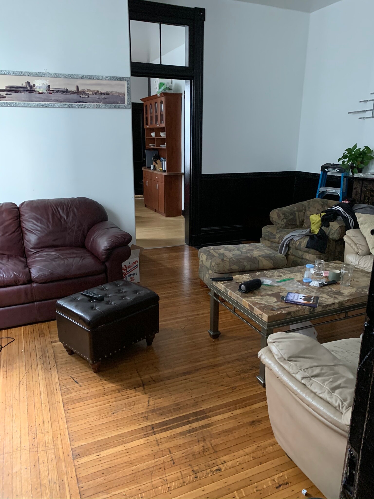 Living Room - 2429 W Clifton Ave
