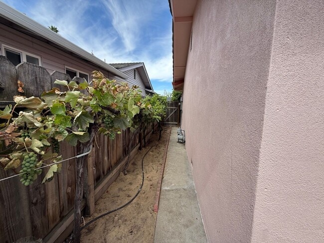 Building Photo - 3-bedroom single story in the heart of Tur...
