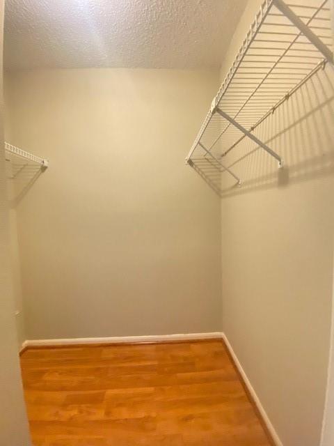 Building Photo - 2120 El Paseo St