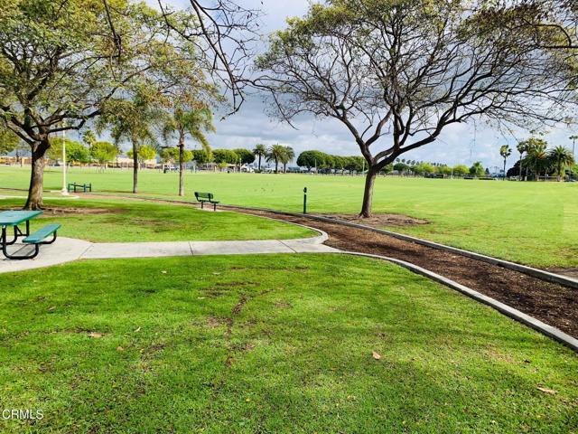 Building Photo - 716 Ibiza Ln