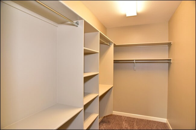 Building Photo - 3744 Loma Adriana